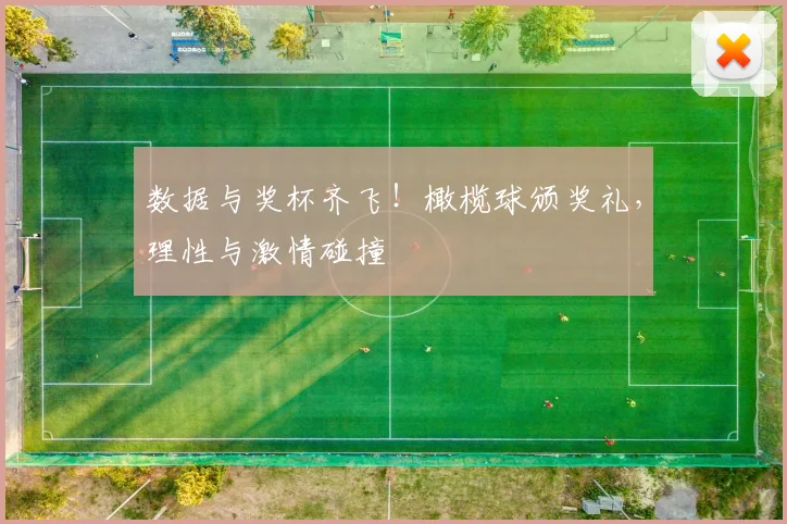 数据与奖杯齐飞！橄榄球颁奖礼，理性与激情碰撞