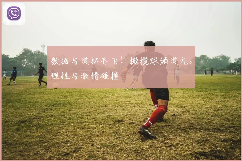 数据与奖杯齐飞！橄榄球颁奖礼，理性与激情碰撞